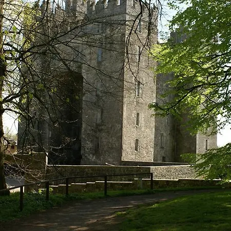 Bed & Breakfast Ashgrove House Bunratty